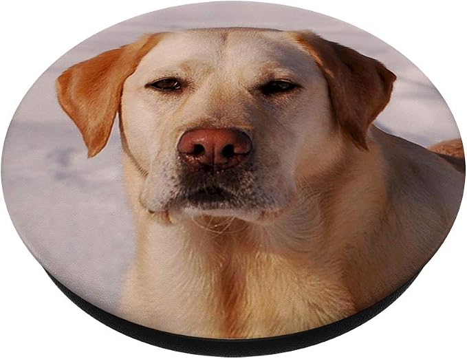 Yellow Labrador Retriever Pet Lab Dog PopSockets Grip and Stand for Phones and Tablets