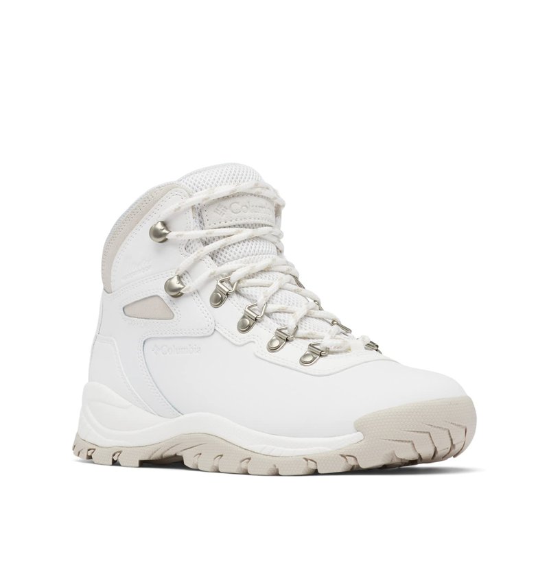 Columbia Women's Newton Ridge Plus, Sea Salt/Dark Stone, 9