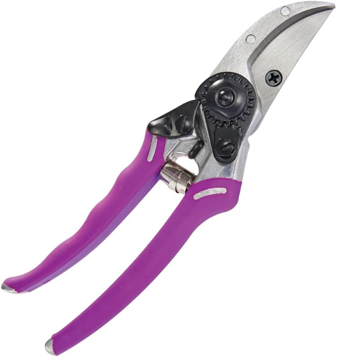 ColorPoint Bypass Pro Pruner