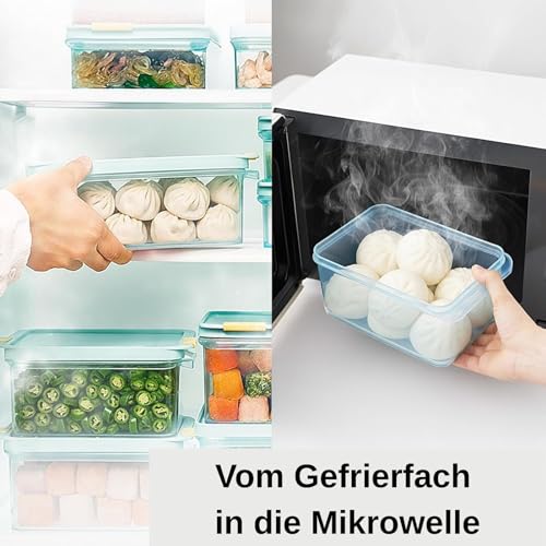 LocknLock Freezer Fit Plastic Freezer Containers | Airtight Stackable Food Storage for Meal Prep | Microwave & Dishwasher Safe | BPA Free Freezer Container with Lid, 450ml - size: 450ml
