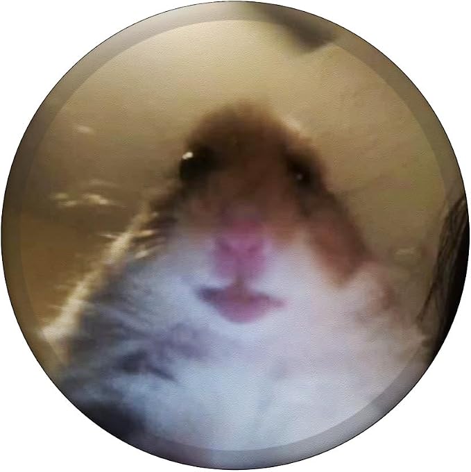 Staring Hamster PopSockets PopGrip: Swappable Grip for Phones &amp Tablets PopSockets Adhesive PopGrip