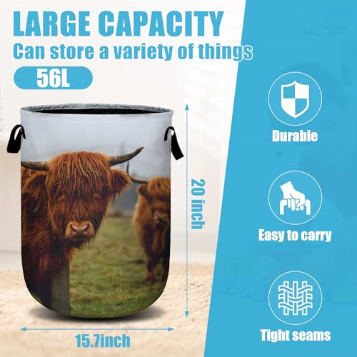 Highland Cow Laundry Basket, Laundry Hamper Collapsible Oxford Cloth with Handle Clothes Toy Storage Bin for Bathroom Laundry Room Bedroom 15.7 X 20 Inch - color: Highland Cow