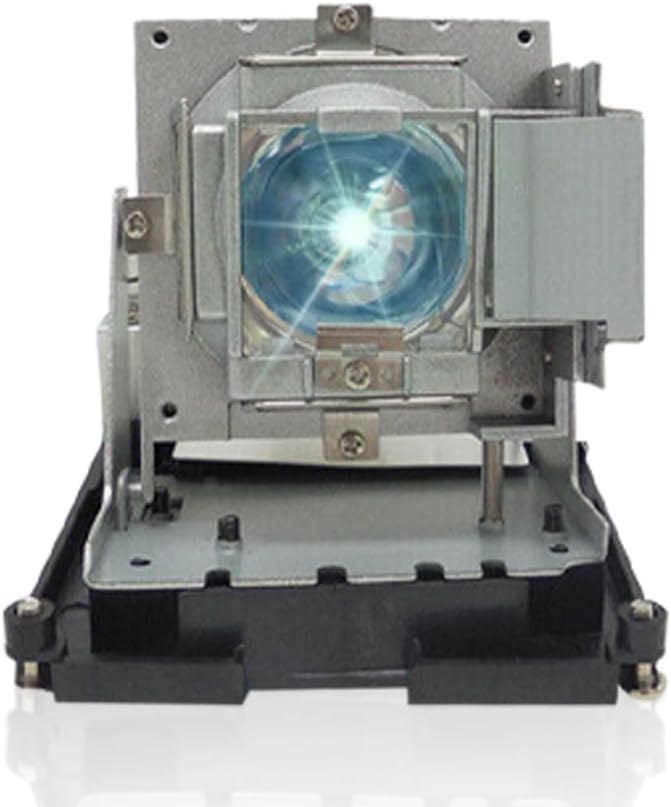 SORNEICDR BL-FU310B / 5811118436-SOT Replacement Projector Lamp Bulb Compatible with OPTOMA DH1014 DH1017 EH500 X600 Projectors, with Housing