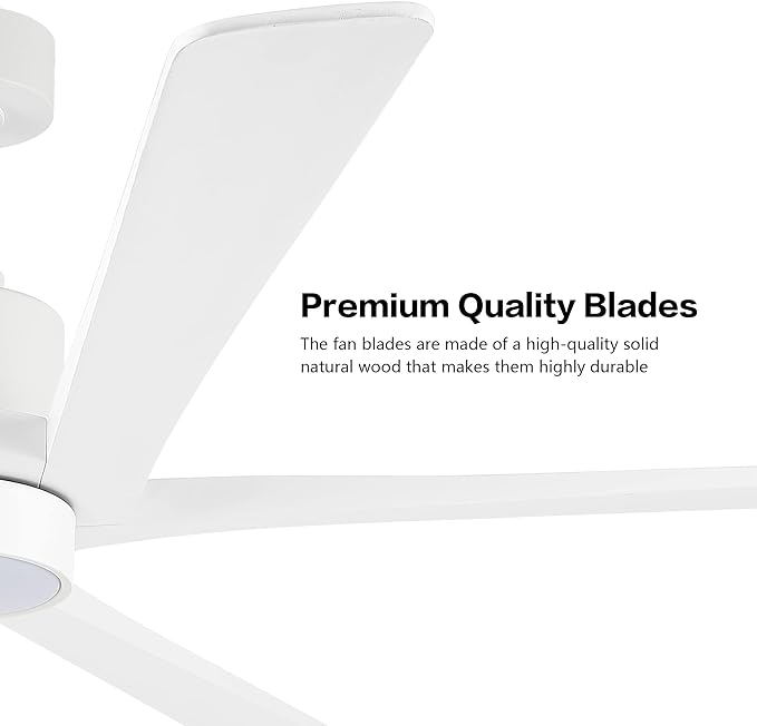 WINGBO 72 Inch DC Ceiling Fan with Lights and 3 Downrods, 5 Reversible Carved Wood Blades, 6-Speed Noiseless DC Motor, Modern Ceiling Fan in White Finish, ETL Listed