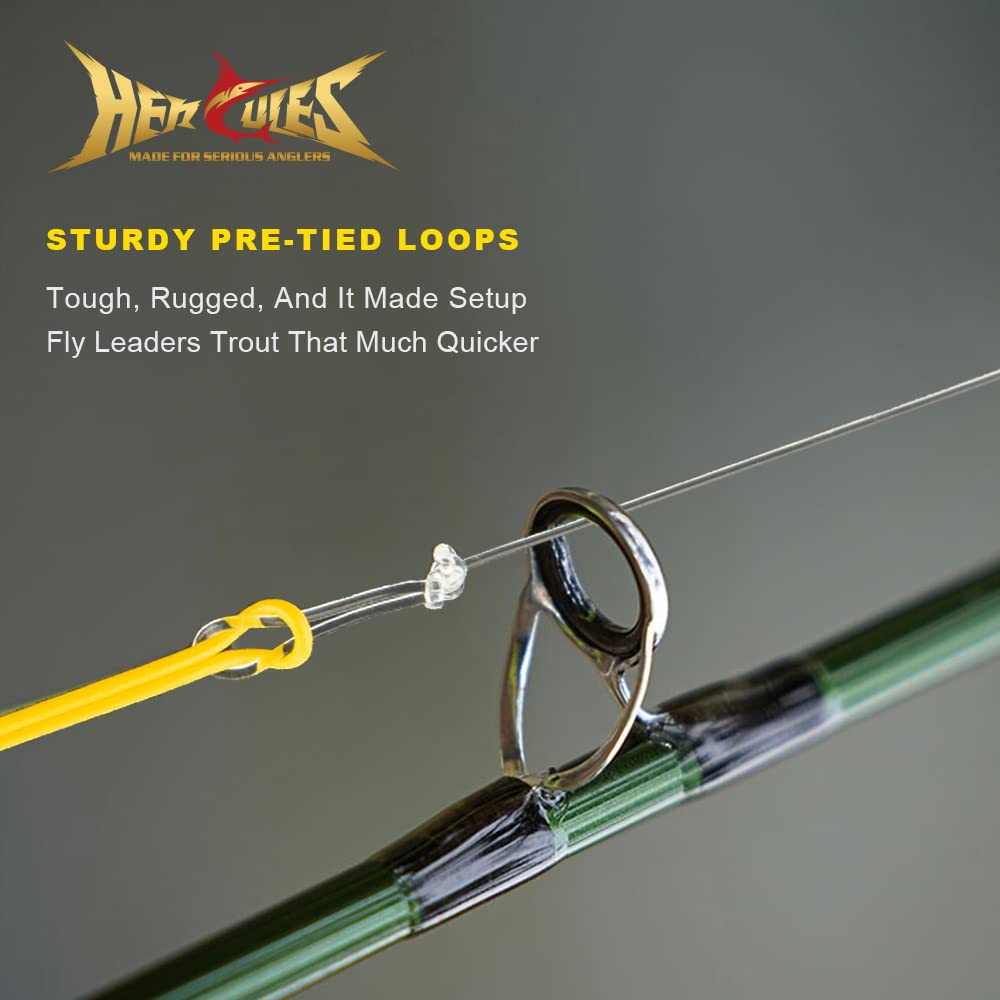 HERCULES Pre-Tied Loop Fly Fishing Leader 6 Pack with Tapered Leader Wallet, 9FT - 1X - 9.0LB