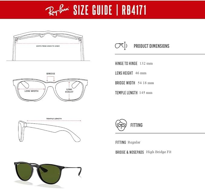Ray-Ban RB4171 ERIKA Round Sunglasses For Women +BUNDLE with ACCESSORY EYEWEAR KIT
