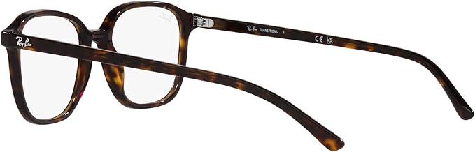 Ray-Ban RB2193 Leonard Square Sunglasses