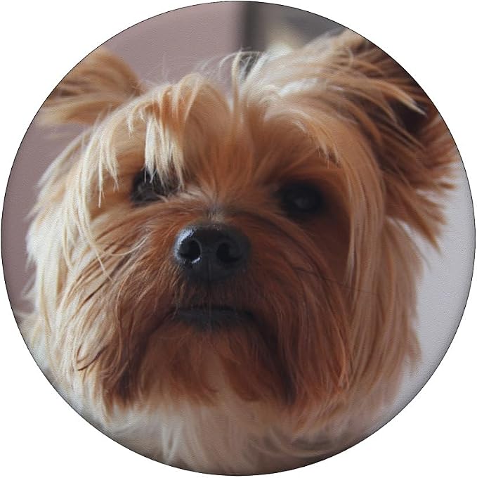 Yorkie Yorkshire Terrier PopSocket Adhesive PopGrip by CJ Grips