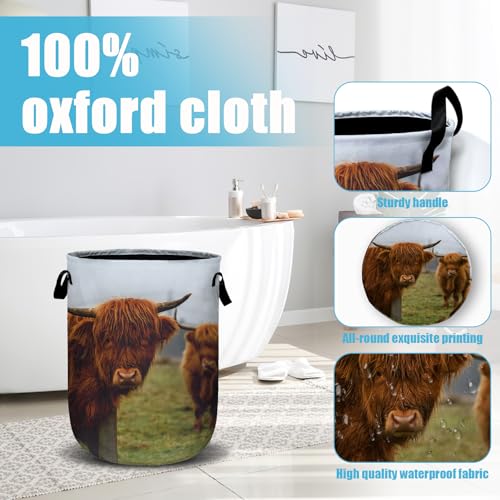 Highland Cow Laundry Basket, Laundry Hamper Collapsible Oxford Cloth with Handle Clothes Toy Storage Bin for Bathroom Laundry Room Bedroom 15.7 X 20 Inch - color: Highland Cow
