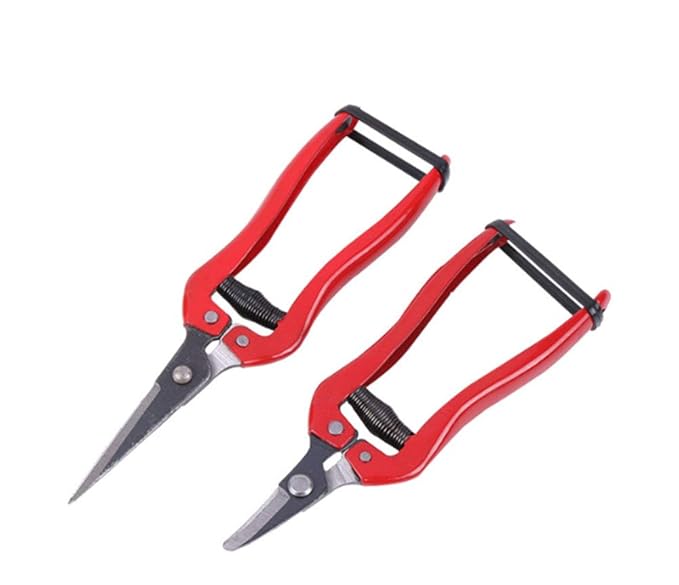 WOIWO 1 PCS Thin Fruit Scissors Picking Fruit Scissors Multi-Functional Garden Tools Turned Up to Pick Tomato Grape Orange Scissors (Quarter Bend)