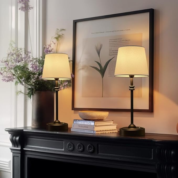 ONEWISH Cordless Lamp-Battery Operated Table lamp, 4000mAh Rechargeable, Stepless Dimmable, Small Touch Bedside Lamp with White LampsShade, 2700K Warm Ambient Light for Dining, Patio, Bathroom(Black)