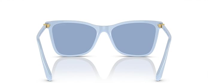 Swarovski womens Sk6004 Rectangular Sunglasses
