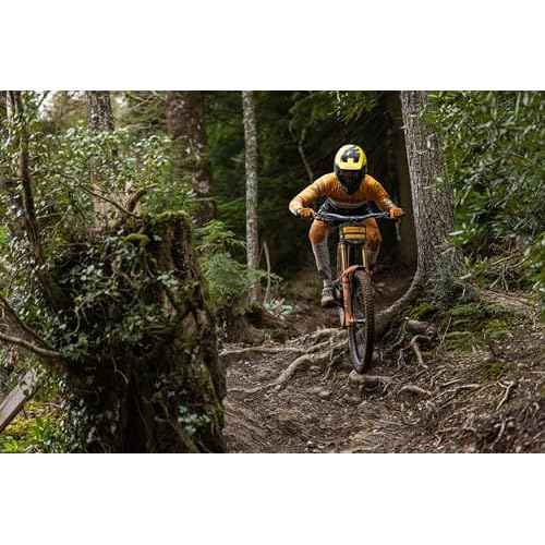 Continental Argotal 29 x 2.4 [Trail Casing] Foldable MTB Mountain Bike Tire - Black