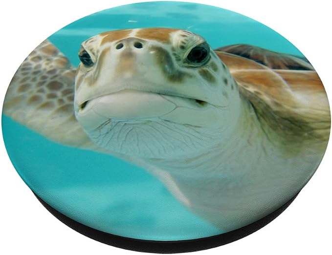 Pop out Cell Phones holder underwater Ocean Sea Turtles PopSockets Adhesive PopGrip