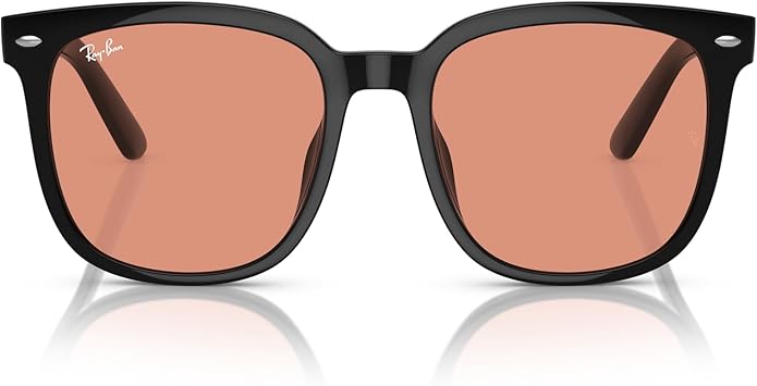 Ray-Ban Unisex Rb4401d Square Sunglasses