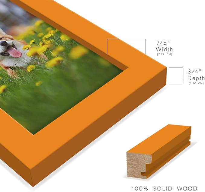 Renditions Gallery 3.5x5 inch Picture Frame High-end Modern Style, Made of Solid Wood and High Definition Glass Ready for Wall and Tabletop Photo Display, Orange Frame