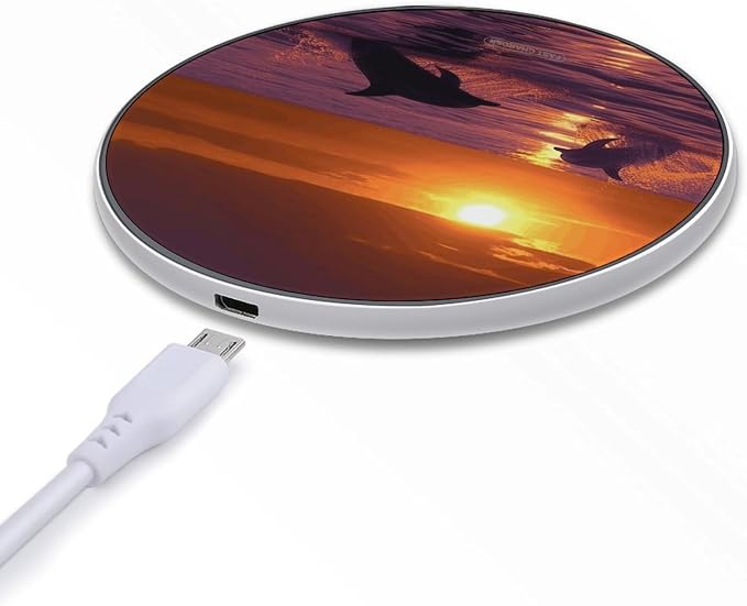 Sunset Dolphins Wireless Charger Fast Charging Pad | Anti-Slip Qi Certified Wireless Charging Pad for All Phones with Wireless Charging Function for Home Office Travel
