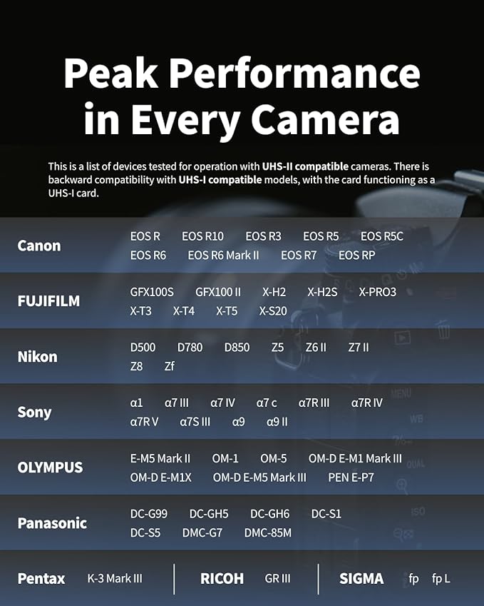 Nextorage 256GB SDXC UHS-II V90 SD Card Japanese Brand pSLC Max. Write Speed 299MB/s Max. Read Speed 300MB/s 4K Recording F2PRO Series NX-F2PRO256G SDXC Card for Digital Camera