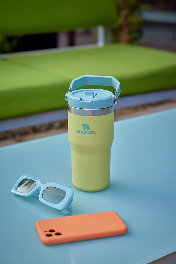 Stanley IceFlow 2.0 Flip Straw Tumbler with Handle 20 oz | Twist On Lid and Flip Up Straw | Leak Resistant Water Bottle | Insulated Stainless Steel | BPA-Free | Pomelo