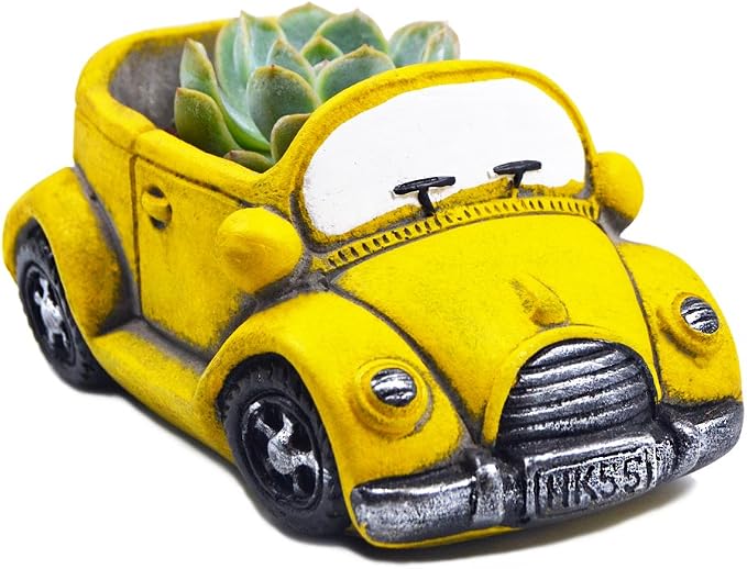 Cute Cacti & Succulent Plants Pot, Succulent Decor Planter Pot Indoor/Outdoor