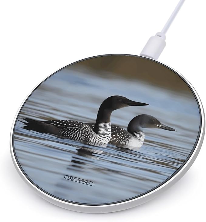 Loon Birds Wireless Charger Portable 10W Fast Wireless Charging Pad Compatible with Phone Ultra-Thin Charging Station Lightweight Charger Mat for Travel Home Office Desk