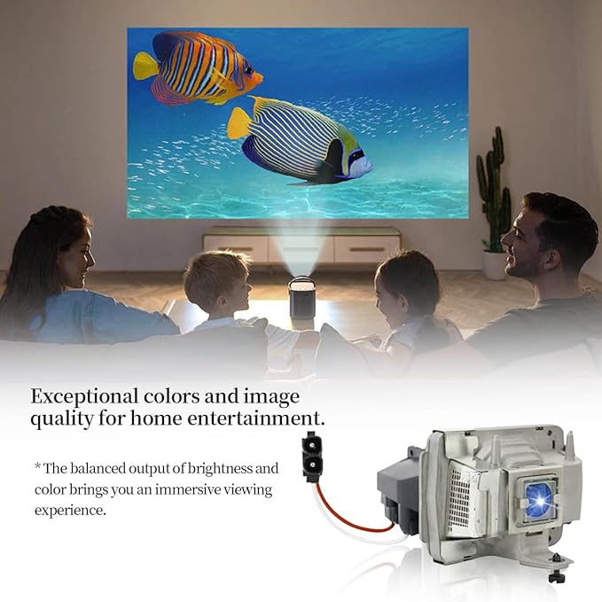 SORNEICDR SPLAMP019 Replacement Projector Lamp Bulb Compatible with SP-LAMP-019 INFOCUS LP600 IN32 IN34 IN34EP W340 W360 Projectors, with Housing