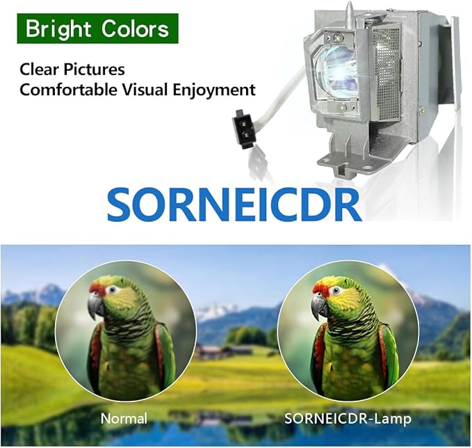 SORNEICDR Replacement Projector Lamp Bulb BL-FP195B/MC.JN811.001/SP-LAMP-091/SP-LAMP-097/SP.78H01GC01/BL-FP195A/SP.71P01GC01 Compatible with OPTOMA/ACER/INFOCUS GT1080DARBEE, DWX1521, H6517ABD, IN220