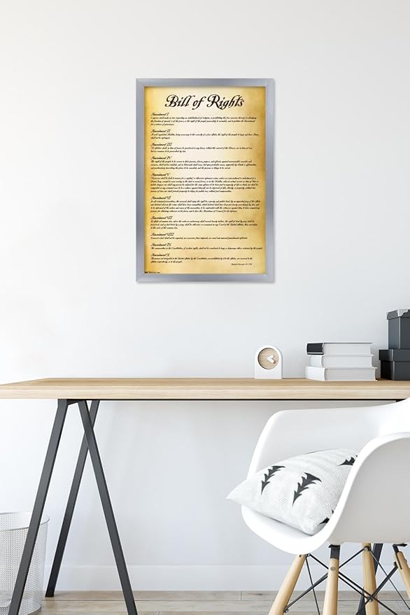 Trends International The United States of America - Bill of Rights Wall Poster, 14.725" x 22.375", Silver Framed Version