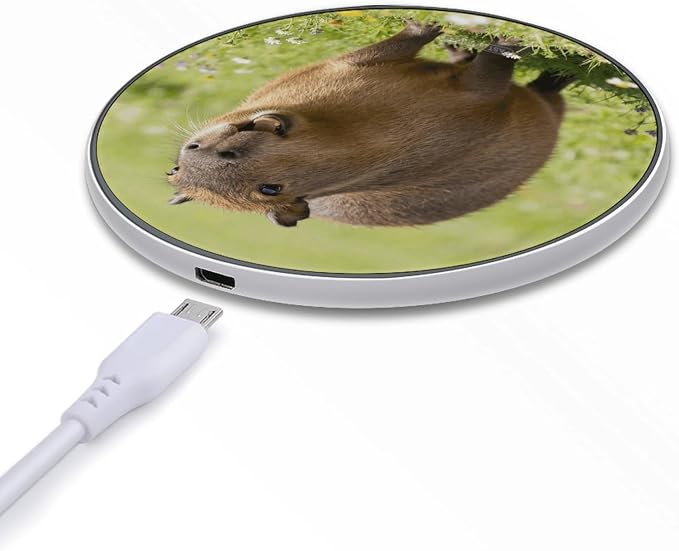 Funny Capybara Wireless Charger Fast Charging Pad | Anti-Slip Qi Certified Wireless Charging Pad for All Phones with Wireless Charging Function for Home Office Travel