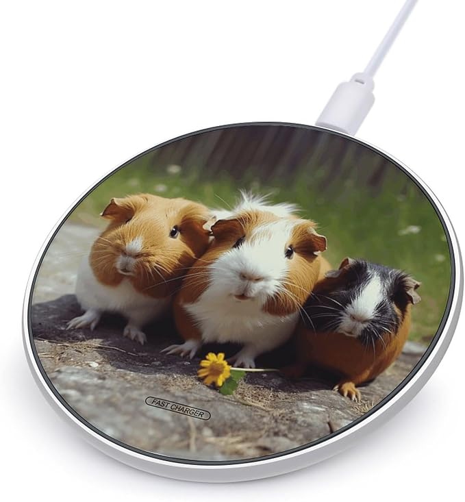 Guinea Pigs Funny Wireless Charger Fast Charging Pad | Anti-Slip Qi Certified Wireless Charging Pad for All Phones with Wireless Charging Function for Home Office Travel