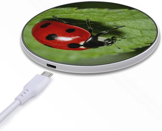 Zhu Ban Ke Wireless Charger Fast Charging Pad | Anti-Slip Qi Certified Wireless Charging Pad for All Phones with Wireless Charging Function for Home Office Travel