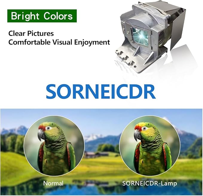 SORNEICDR SP LAMP-086/5J.JEL05.001/BL-FP190C Replacement Projector Lamp Bulb Compatible with INFOCUS IN112A, IN114A, IN114STa, IN116A, IN118HDa, IN118HDSTA/OPTOMA DS311, DS331, H111, H181X Projectors
