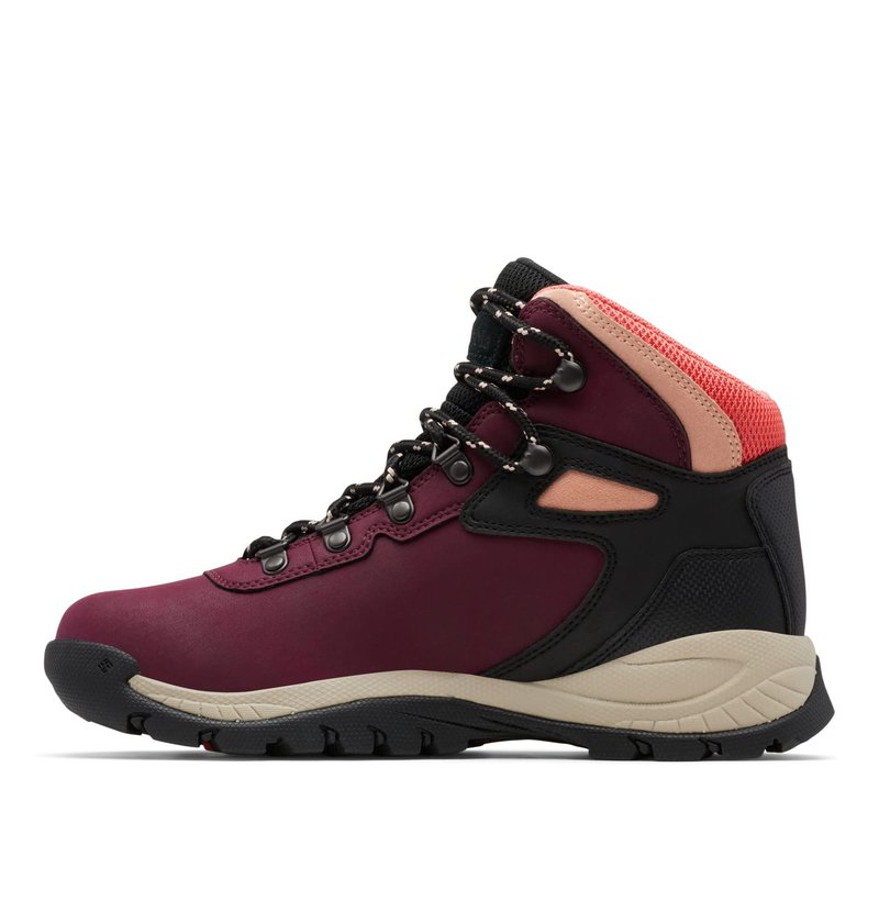 Columbia Women's Newton Ridge Plus, Marionberry/Black, 8.5