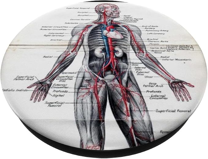 Medical Nursing Student Anatomy Chart PopSockets PopGrip: Swappable Grip for Phones &amp Tablets PopSockets Adhesive PopGrip