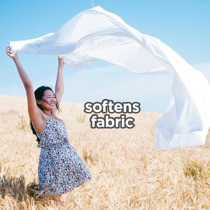 Dryer Sheets: Spring Lavender Scented Laundry Fabric Softener Sheets - Reduces Wrinkles - Controls Static - Softens Fabric (480 Count)