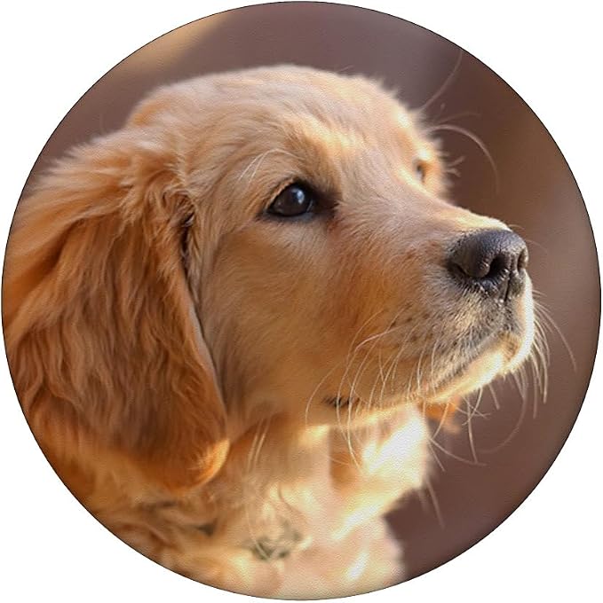 Nikitea Golden Retriever Puppy PopSocket Adhesive PopGrip - Cell Phone Grip Stand - Black - Animal Print - Compatible with Most Phones Tablets and Cases