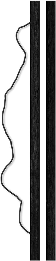 Trends International The Constitution Wall Poster, 22.375" x 34", Premium Print and Black Hanger Bundle