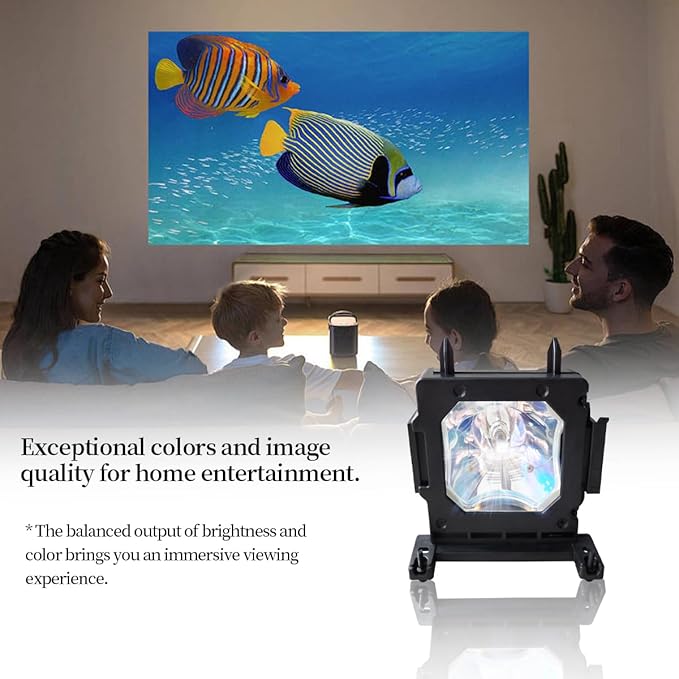 SORNEICDR LMP-H202 Replacement Projector Lamp Bulb Compatible with Sony VPL-HW30AES HW30ES HW50ES HW55ES VW95ES HW30 HW30ES SXRD HW40ES Projectors, with Housing