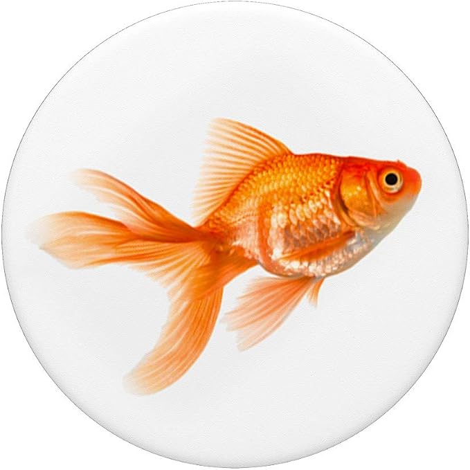 Goldfish Bowl Fish Tank Koi Pond Fantail Goldfish PopSockets Swappable PopGrip