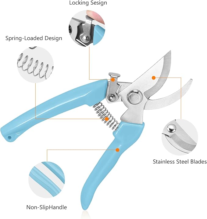 Garden Scissors for Plant, Tip Pruning Shears for Cutting Flowers, Trimming Plants, Bonsai and Fruits Picking (Blue Bypass Blade Pruner)