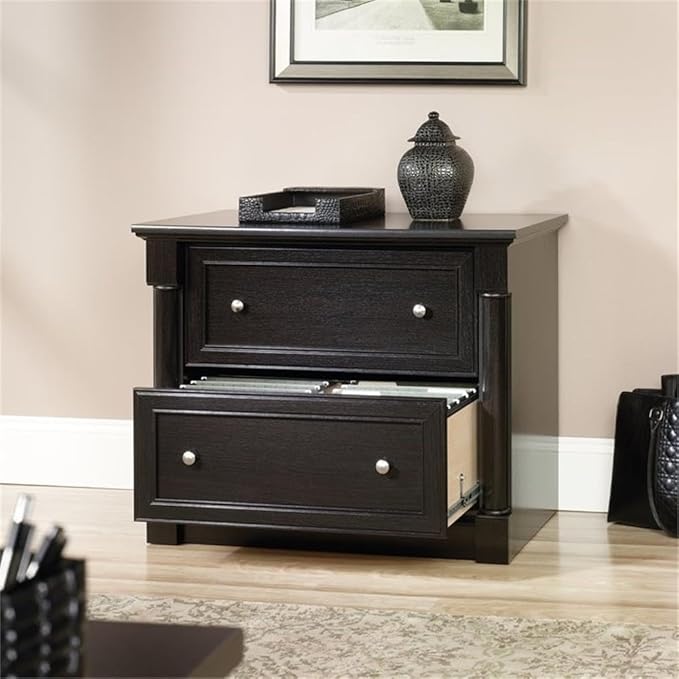 Pemberly Row Engineered Wood 2-Drawer Lateral File Cabinet in Wind Oak