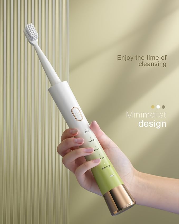AJELU Upgrade Sonic Electric Toothbrush for Adults, 8 Replacement Brush Heads, Rechargeable Electric Toothbrush with 2-Minutes Timer IPX7 Water-Proof, for Indoor & Outdoor, White & Green Gradient