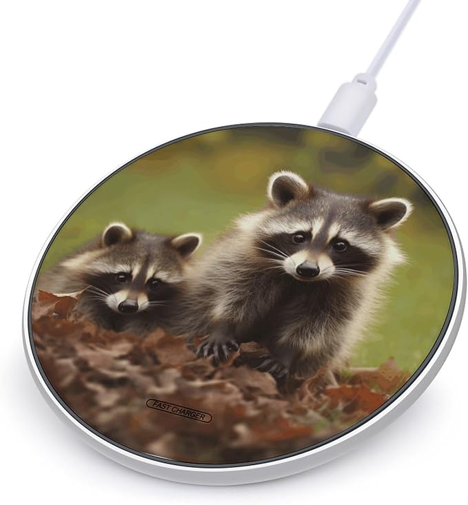 Raccoon Wireless Charger Fast Charging Pad | Anti-Slip Qi Certified Wireless Charging Pad for All Phones with Wireless Charging Function for Home Office Travel