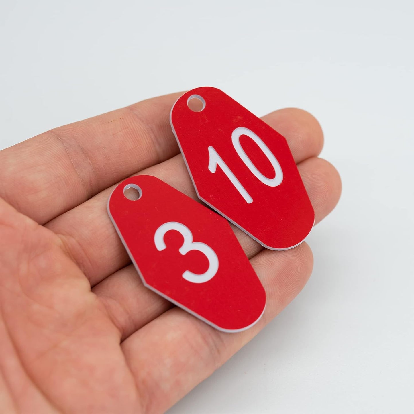 StayMax ABS Plastic Motel Hotel Room Number Tag (1-50, Red)
