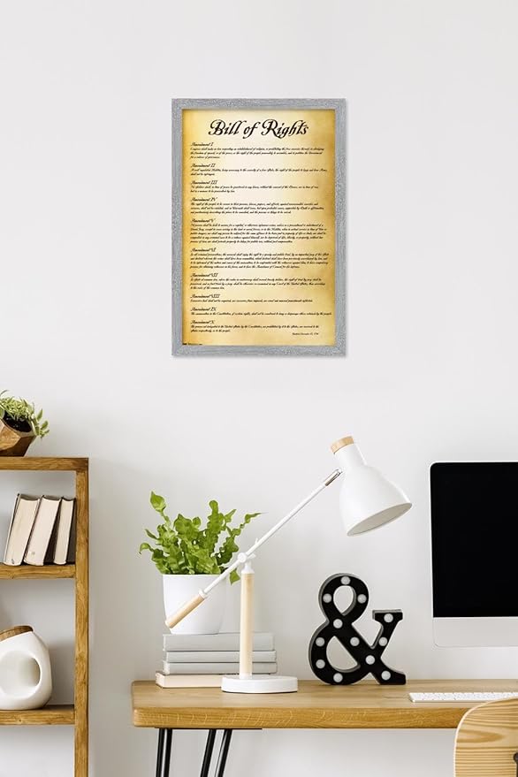 Trends International The United States of America - Bill of Rights Wall Poster, 22.4L x 14.7W, Gray Framed Version