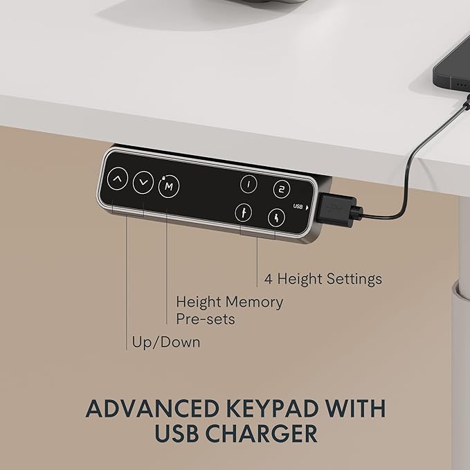 FLEXISPOT E6 Pro Oval Leg Dual Motor 3 Stages Standing Desk 48x30 Inch Skin-Friendly Electric Height Adjustable Whole-Piece Sit Stand Up Desk 150KG Load Capacity (White Frame + White Desktop)