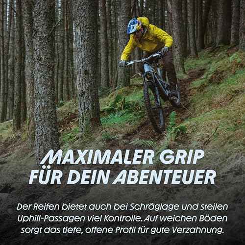 Schwalbe Shredda Rear Tire - 27.5 x 2.50, Tubeless, Folding, Black, Evolution Line, Gravity Pro, Addix Ultra Soft