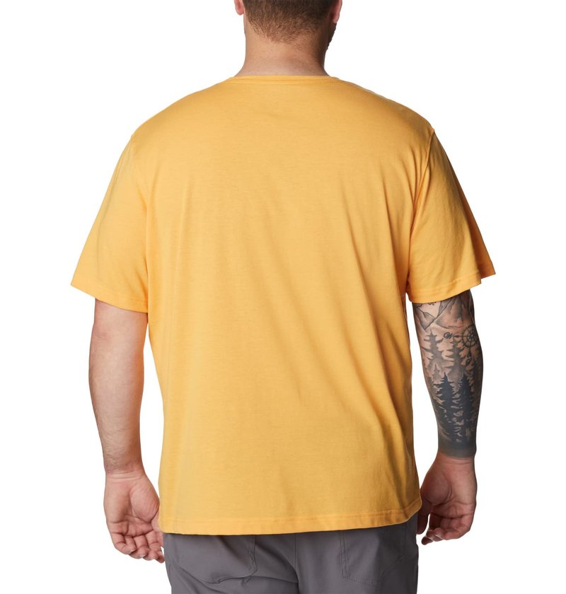 Columbia Men's Thistletown Hills Graphic Short Sleeve, Mango Heather/Hikers Graphic, 3X Big