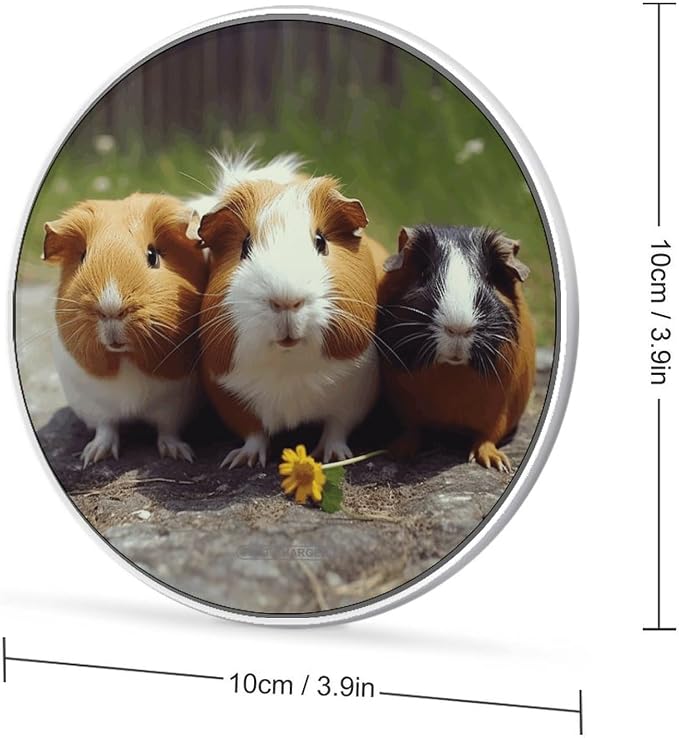 Guinea Pigs Funny Wireless Charger Fast Charging Pad | Anti-Slip Qi Certified Wireless Charging Pad for All Phones with Wireless Charging Function for Home Office Travel