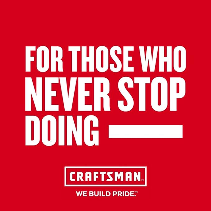 CRAFTSMAN V20 USB Adapter USB Power Source for Charging Phone Tablet Batteries and More Bare Tool Only (CMCB002B)